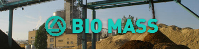 Biomass