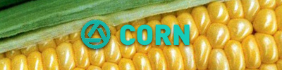 Corn