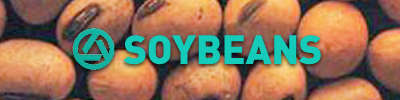 Soyabeans